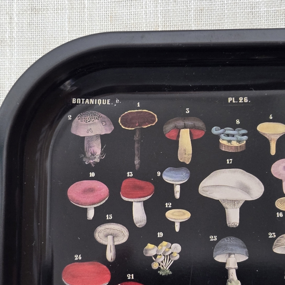 Curious Prints Metal Tray Vintage Scientific Mushroom Design - 5 x 7"- Like New - Picture 2 of 4